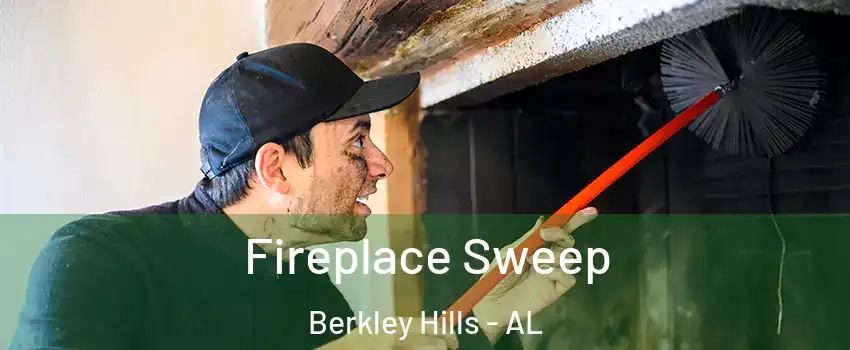 Fireplace Sweep Berkley Hills - AL