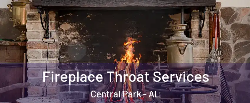 Fireplace Throat Services Central Park - AL