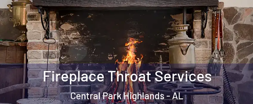 Fireplace Throat Services Central Park Highlands - AL