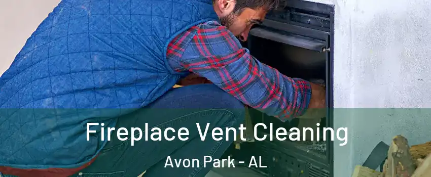 Fireplace Vent Cleaning Avon Park - AL