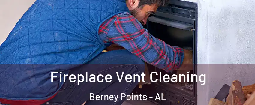 Fireplace Vent Cleaning Berney Points - AL