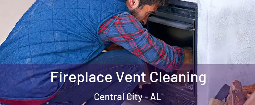 Fireplace Vent Cleaning Central City - AL
