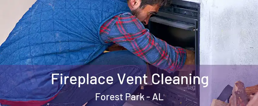 Fireplace Vent Cleaning Forest Park - AL