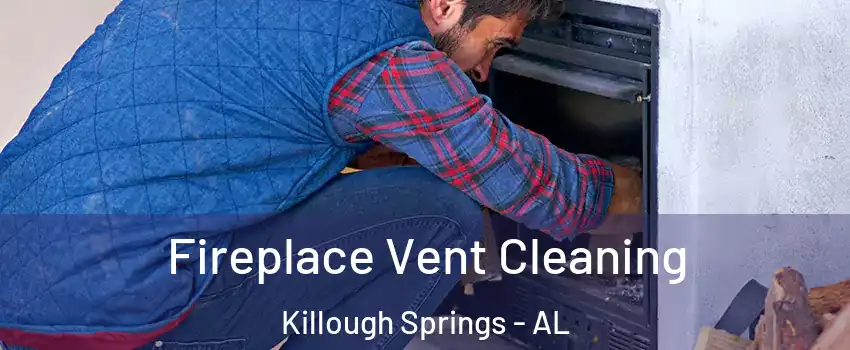 Fireplace Vent Cleaning Killough Springs - AL