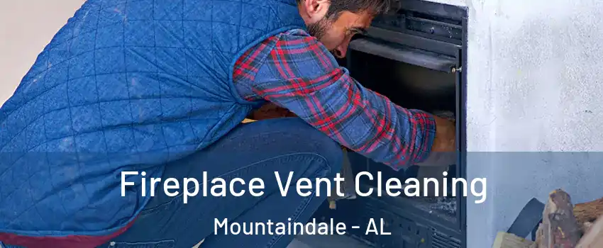 Fireplace Vent Cleaning Mountaindale - AL