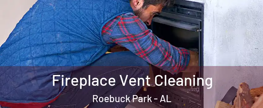 Fireplace Vent Cleaning Roebuck Park - AL