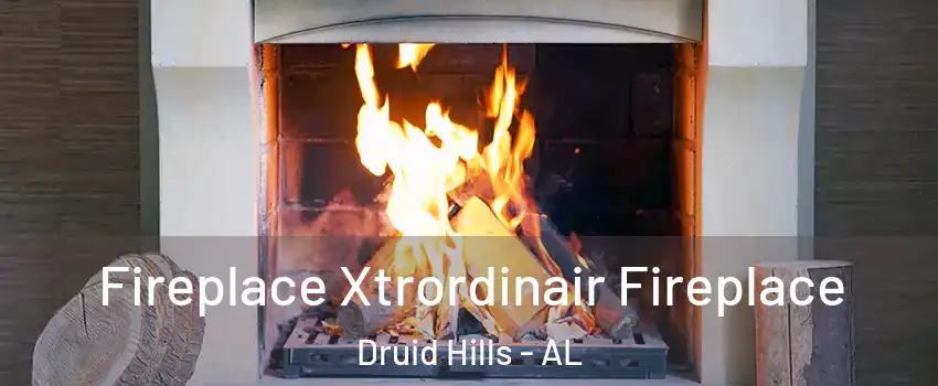 Fireplace Xtrordinair Fireplace Druid Hills - AL