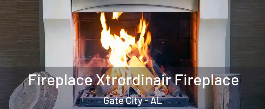 Fireplace Xtrordinair Fireplace Gate City - AL