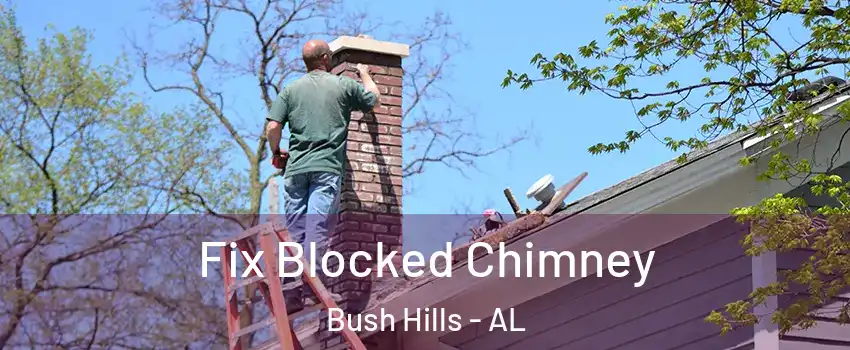 Fix Blocked Chimney Bush Hills - AL