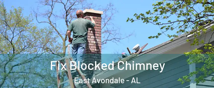 Fix Blocked Chimney East Avondale - AL