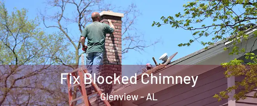Fix Blocked Chimney Glenview - AL