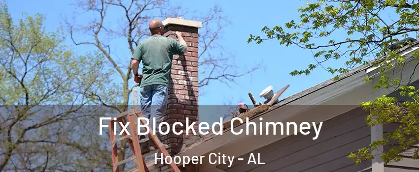 Fix Blocked Chimney Hooper City - AL