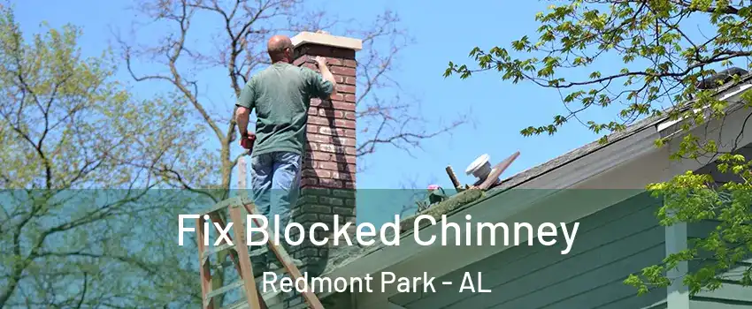 Fix Blocked Chimney Redmont Park - AL