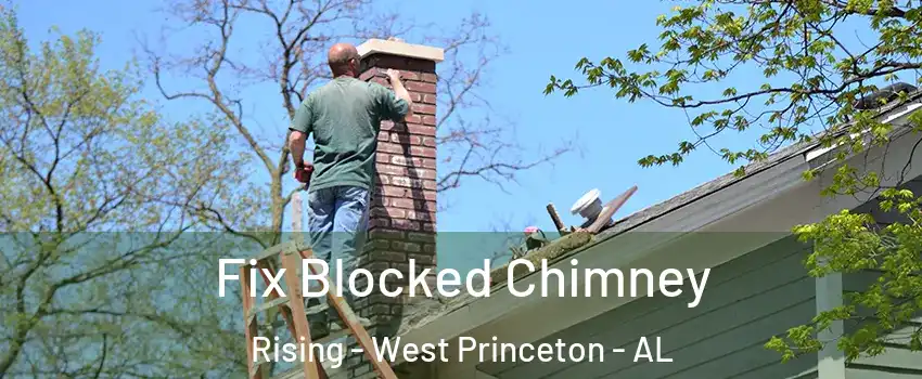 Fix Blocked Chimney Rising - West Princeton - AL
