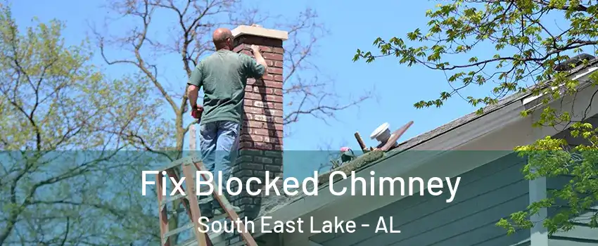 Fix Blocked Chimney South East Lake - AL