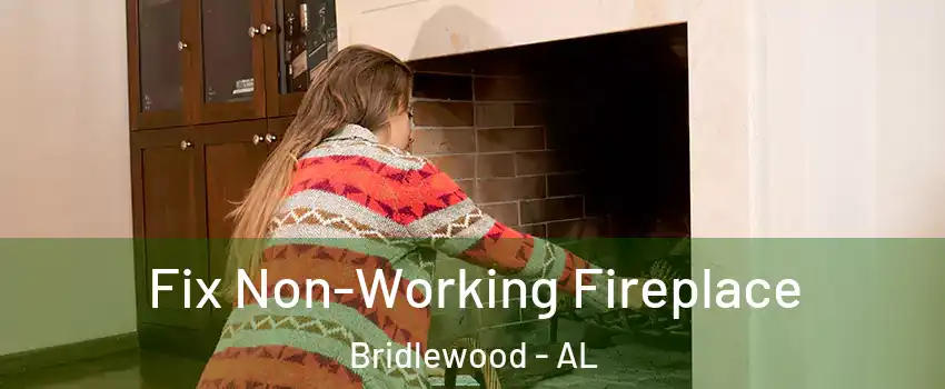 Fix Non-Working Fireplace Bridlewood - AL