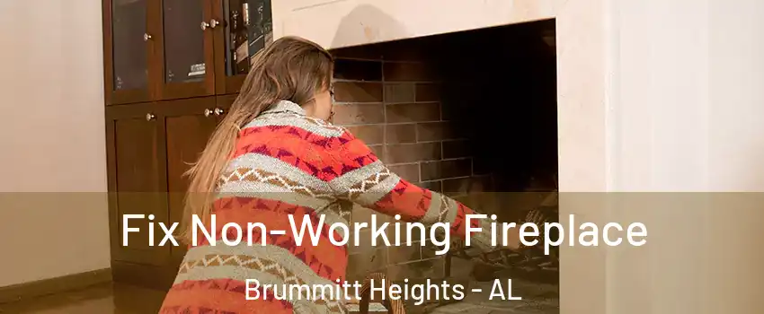 Fix Non-Working Fireplace Brummitt Heights - AL