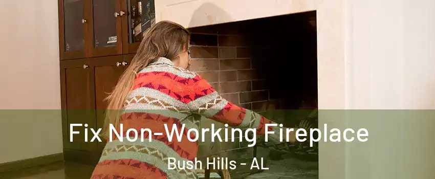 Fix Non-Working Fireplace Bush Hills - AL