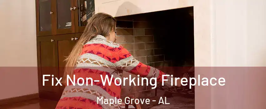 Fix Non-Working Fireplace Maple Grove - AL