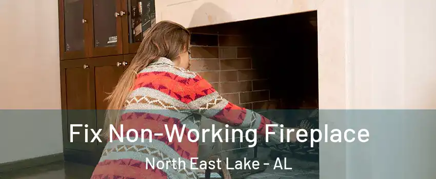 Fix Non-Working Fireplace North East Lake - AL