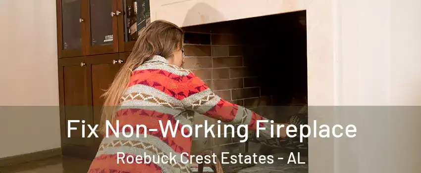 Fix Non-Working Fireplace Roebuck Crest Estates - AL