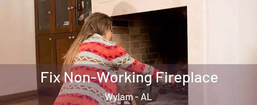 Fix Non-Working Fireplace Wylam - AL