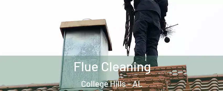 Flue Cleaning College Hills - AL