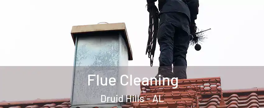 Flue Cleaning Druid Hills - AL