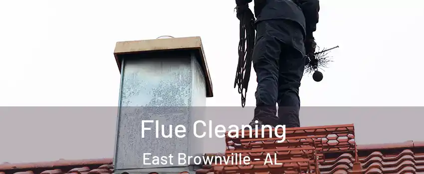 Flue Cleaning East Brownville - AL