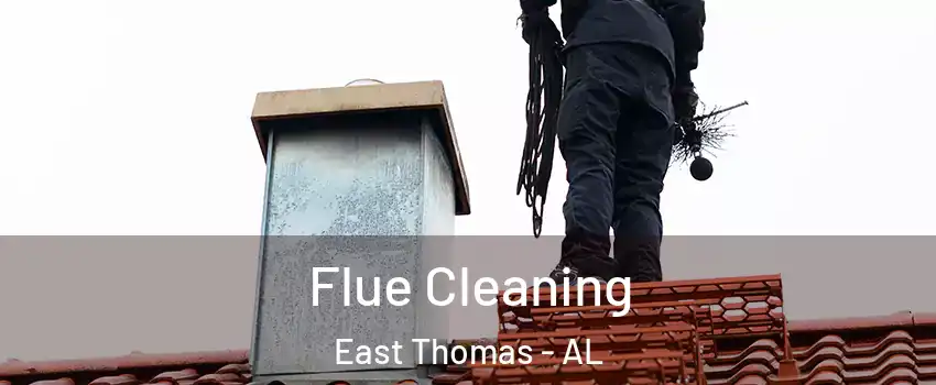 Flue Cleaning East Thomas - AL