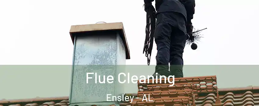 Flue Cleaning Ensley - AL