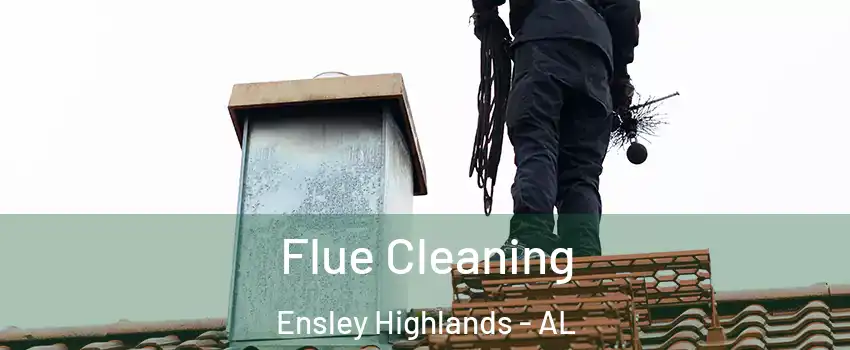 Flue Cleaning Ensley Highlands - AL