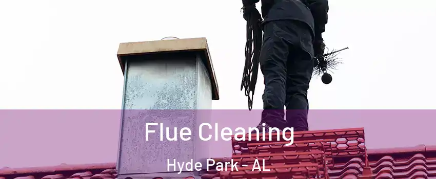 Flue Cleaning Hyde Park - AL