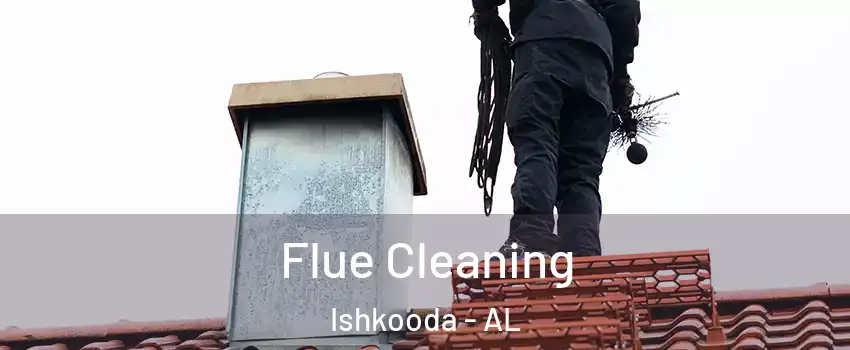 Flue Cleaning Ishkooda - AL