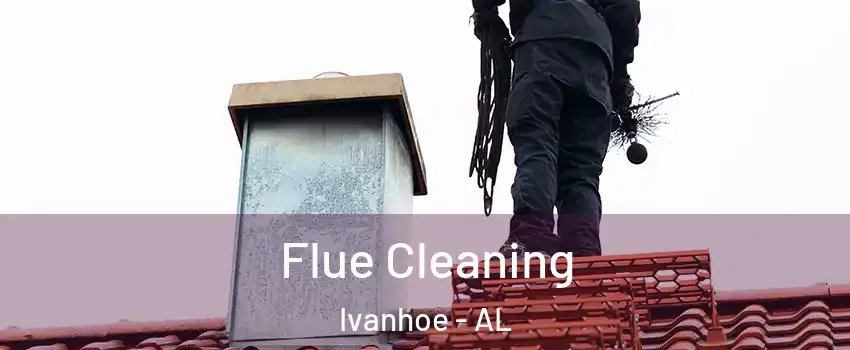 Flue Cleaning Ivanhoe - AL