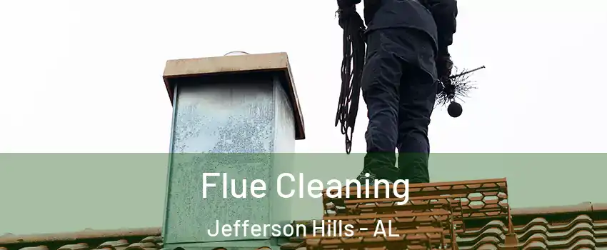 Flue Cleaning Jefferson Hills - AL