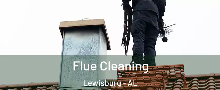 Flue Cleaning Lewisburg - AL