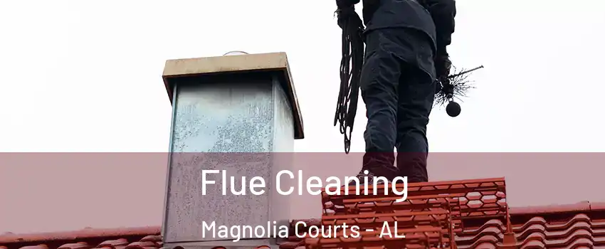 Flue Cleaning Magnolia Courts - AL