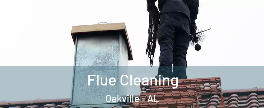 Flue Cleaning Oakville - AL