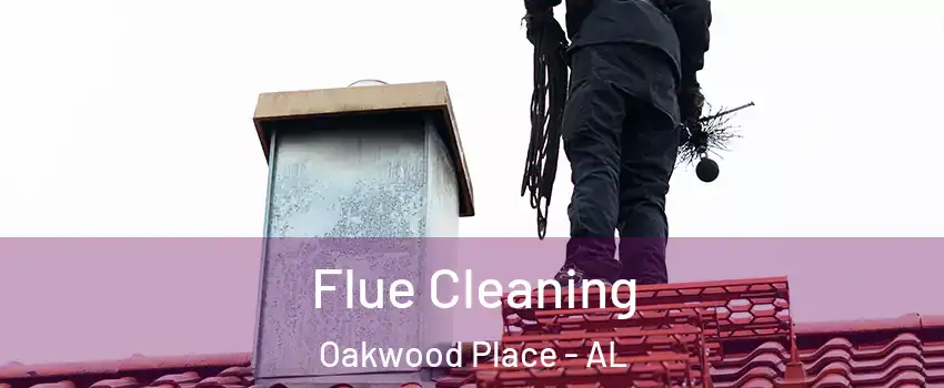 Flue Cleaning Oakwood Place - AL