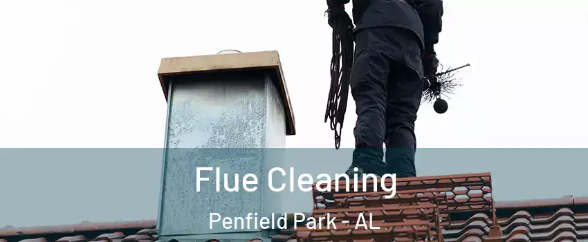 Flue Cleaning Penfield Park - AL