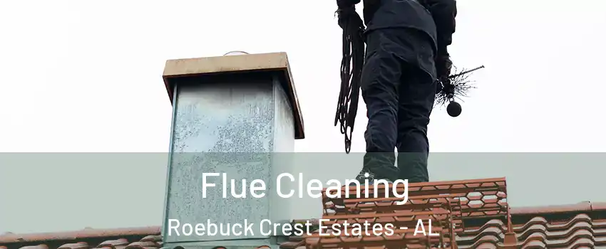 Flue Cleaning Roebuck Crest Estates - AL