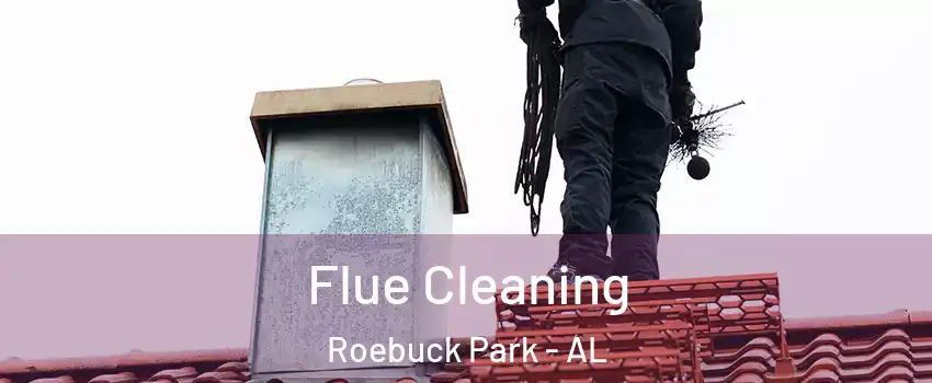 Flue Cleaning Roebuck Park - AL