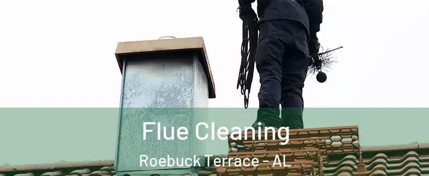 Flue Cleaning Roebuck Terrace - AL