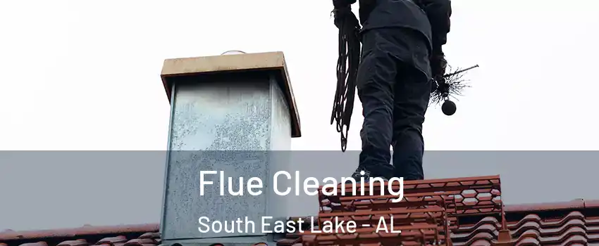 Flue Cleaning South East Lake - AL