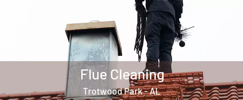 Flue Cleaning Trotwood Park - AL