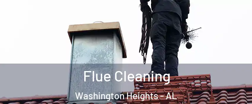 Flue Cleaning Washington Heights - AL