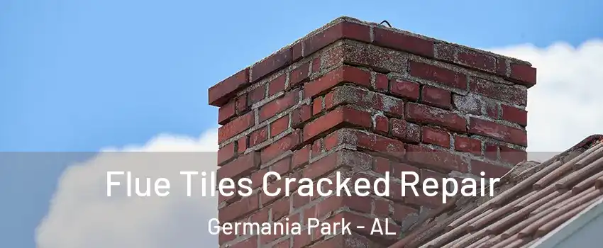 Flue Tiles Cracked Repair Germania Park - AL