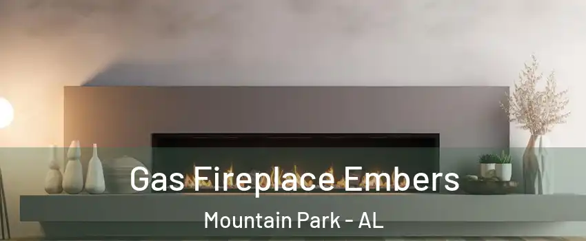 Gas Fireplace Embers Mountain Park - AL