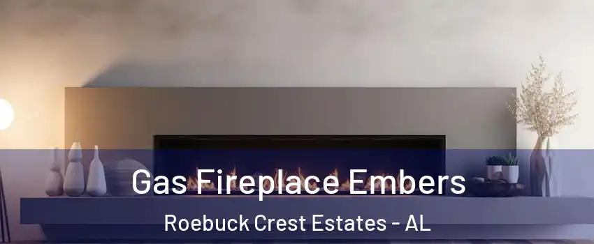 Gas Fireplace Embers Roebuck Crest Estates - AL